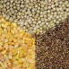 Soybean, Wheat and Corn